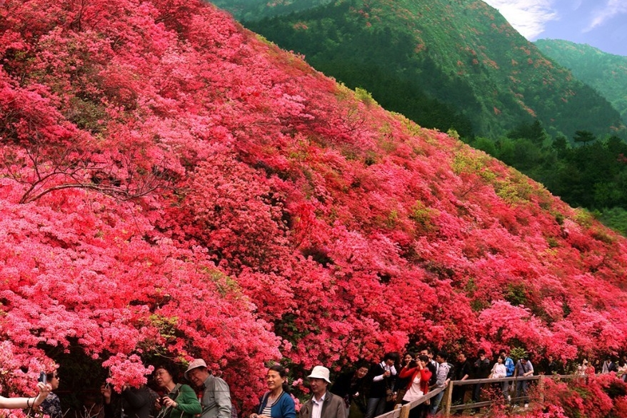 云雾山汽车露营地