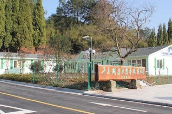 浙江千岛湖姜家房车露营基地