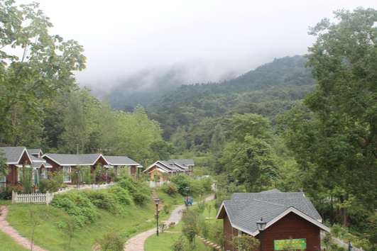 新县大别山露营公园